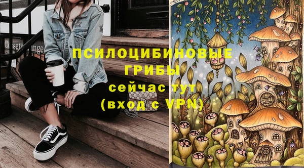 mdpv Ладушкин