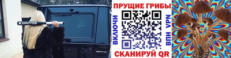 где найти наркотики  Екатеринбург  Галлюциногенные грибы Psilocybine cubensis 