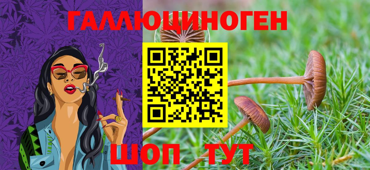 Псилоцибиновые грибы прущие грибы Екатеринбург