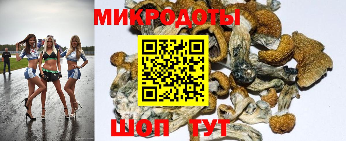 Псилоцибиновые грибы GOLDEN TEACHER  Галлюциногенные грибы Psilocybe  Вход с VPN  Екатеринбург 