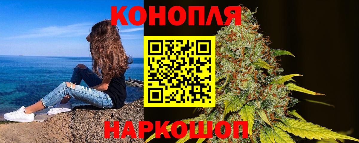 Конопля сатива Екатеринбург
